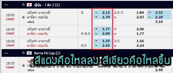 วิธีดูราคาน้ำบอล